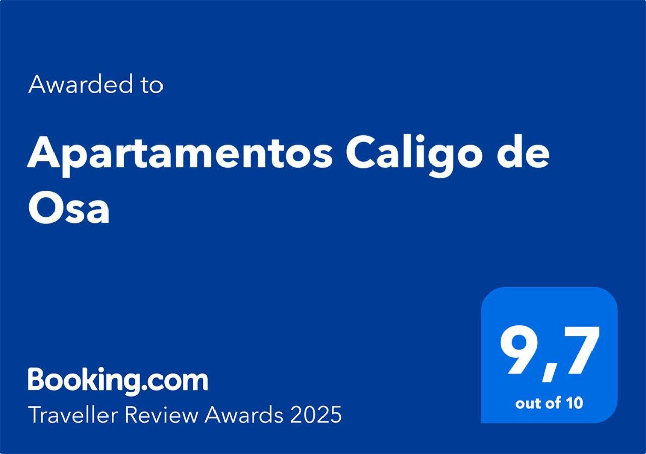 Apartamentos Caligo De Osa Drakes Bay Екстериор снимка